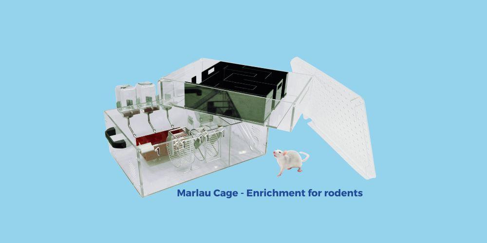 Enriched housing for rodents : Benefits and Innovations