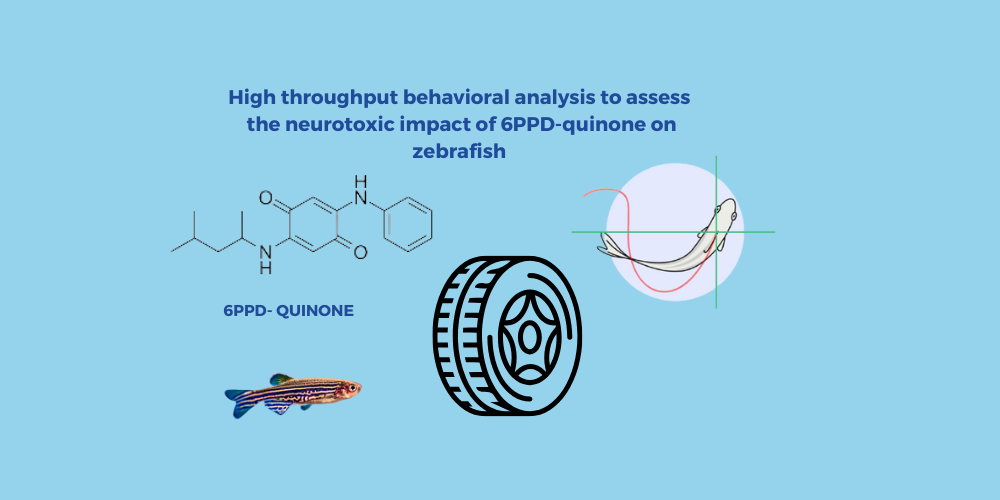 High throughput behavioral analysis to assess the neurotoxic impact of 6PPD-quinone on zebrafish